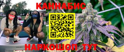 стаф Будённовск