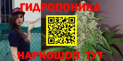 тгк Бузулук