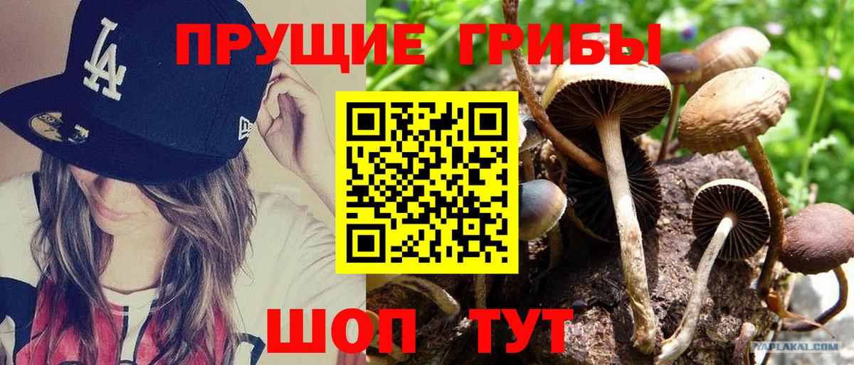 Псилоцибиновые грибы мухоморы Маркс