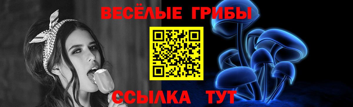 Маркс  Псилоцибиновые грибы Cubensis  Вход с VPN 